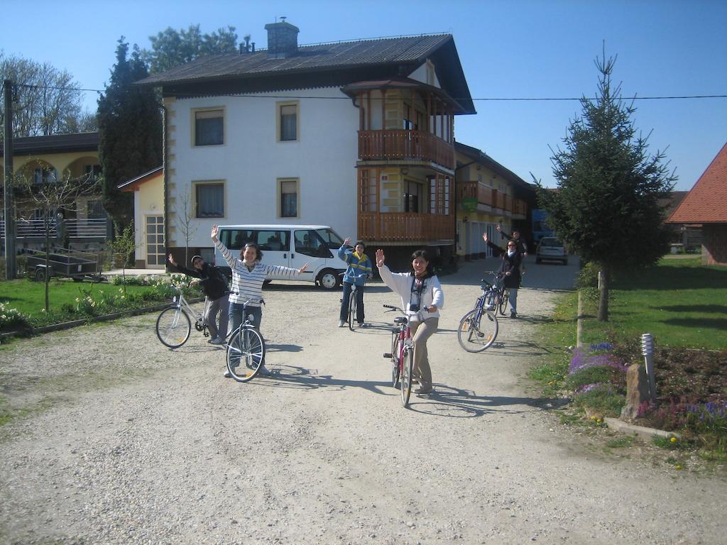 Tourist Farm Salamun Villa Banovci Luaran gambar