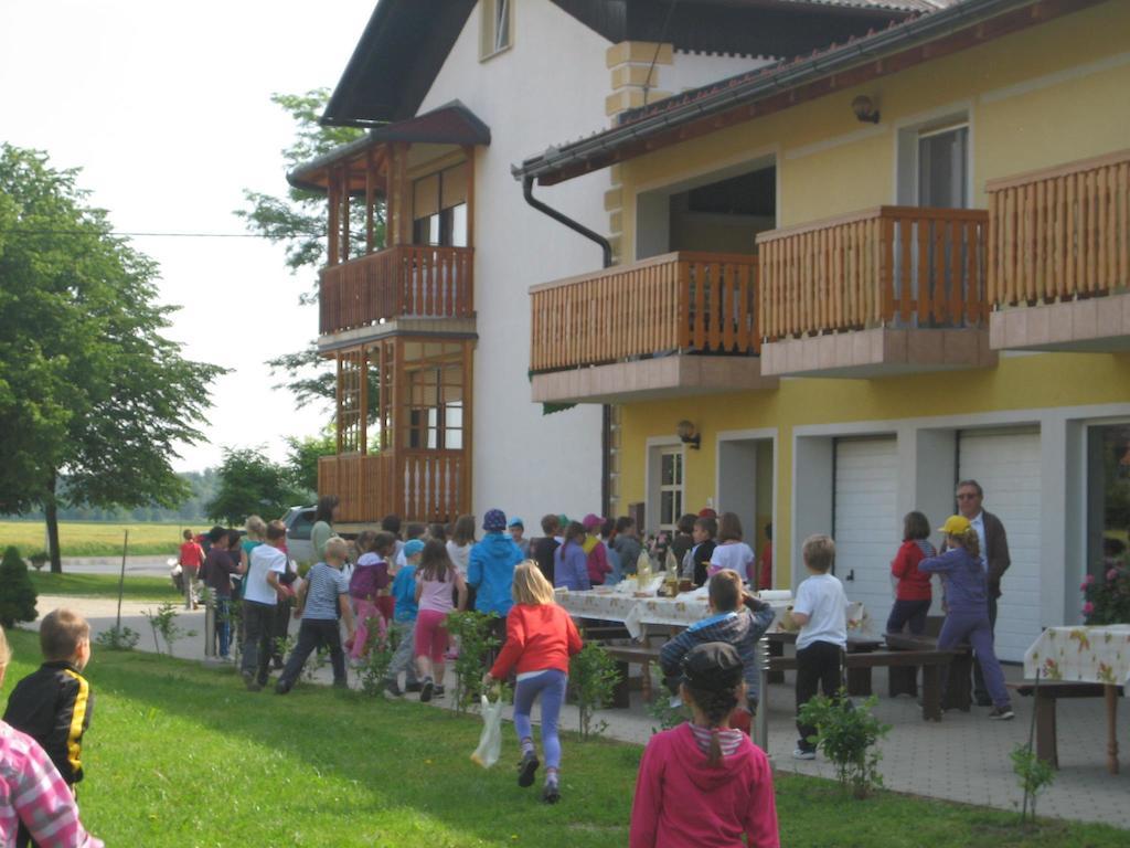 Tourist Farm Salamun Villa Banovci Luaran gambar