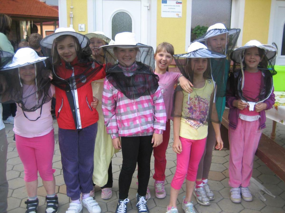 Tourist Farm Salamun Villa Banovci Luaran gambar